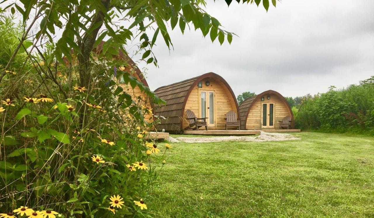 Long Point Eco-Adventures Villa Normandale Esterno foto